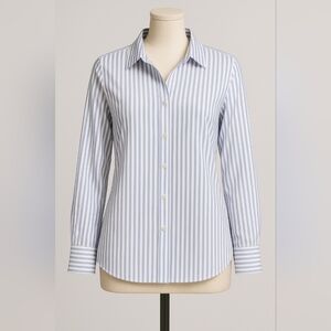 Banana Republic Riley Blue Stripe Shirt